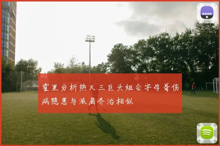 霍里分析热火三巨头组合字母哥伤病隐患与浓眉乔治相似